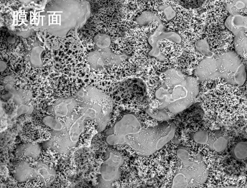 糖心APP下载汅API免费新版下载入口烧结管式膜电镜照片